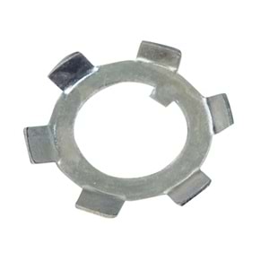 TAMBURLU TIRNAKLI PUL 25 MM